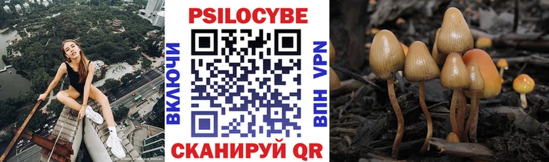 Псилоцибиновые грибы GOLDEN TEACHER  Купить  Фурманов 