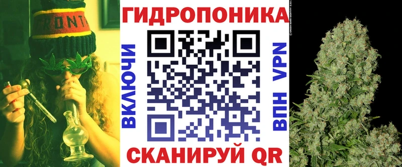 Бошки Шишки ГИДРОПОН Фурманов